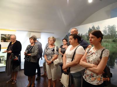 Zdjęcie 59 z albumu Obchody Światowego Dnia Diabetyków 2019