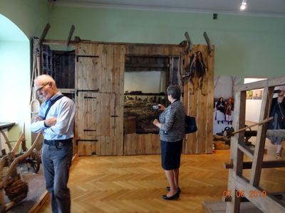 Zdjęcie 67 z albumu Obchody Światowego Dnia Diabetyków 2019